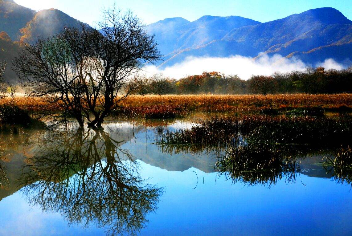 1487577185112248.jpg timg.jpg