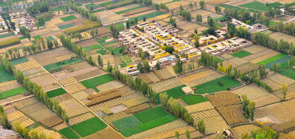 1487578160117691.jpg timg.jpg