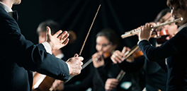 1509502485974885.jpg 1101.jpg